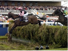 Horse Racing